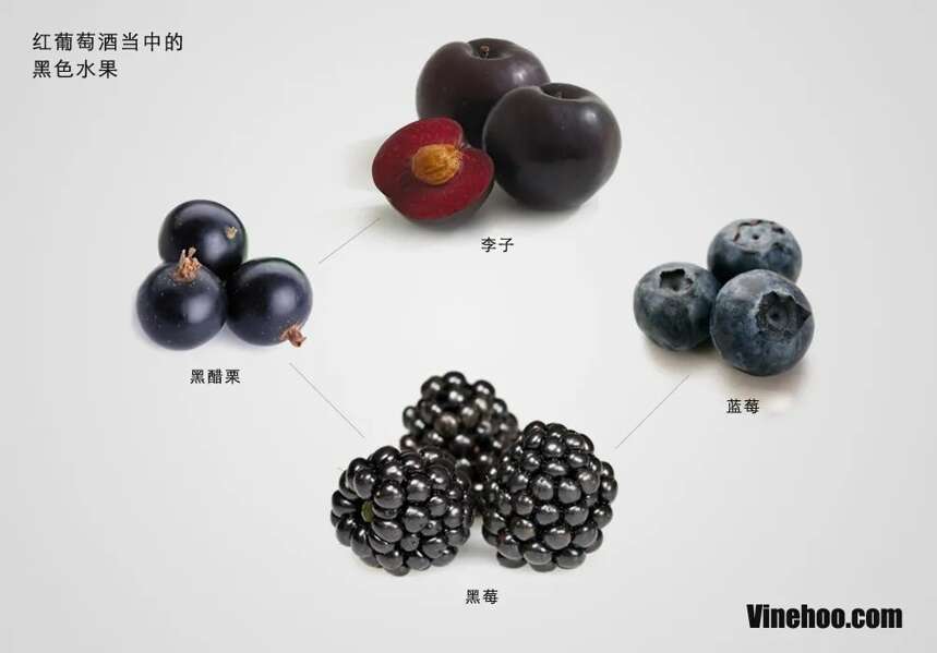 葡萄酒中最常见的水果风味，你知道多少？