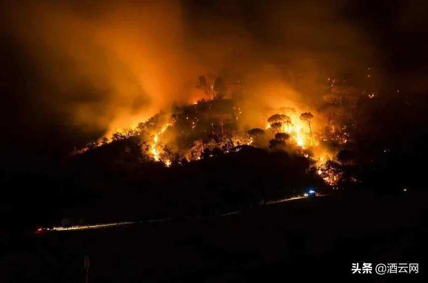法国南部遭遇大火，普罗旺斯多家酒庄受损，原因竟然是一根烟头