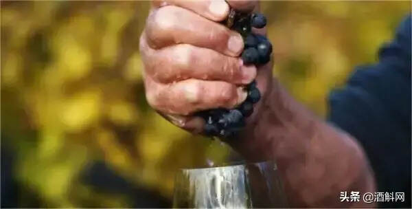 林裕森专栏 | 葡萄酒世界的自然派风潮