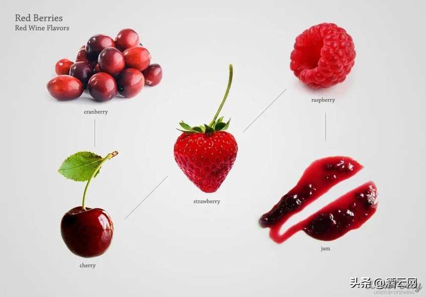 葡萄酒中的红色水果和黑色水果究竟是什么？