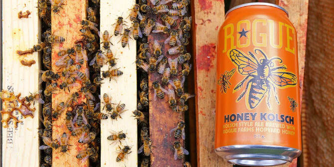 蜂蜜只能酿蜂蜜酒吗？不，还可以用蜂蜜酿啤酒