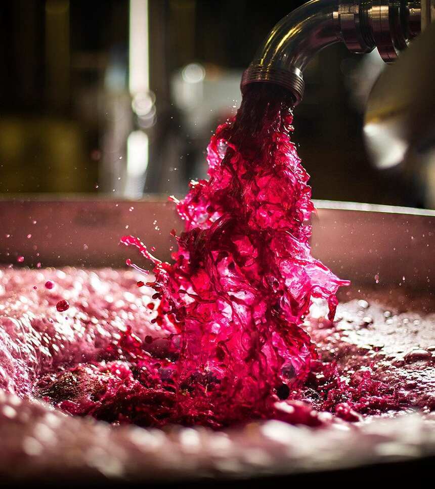 鲁臣世家庄园：葡萄酒界的“香奈儿”