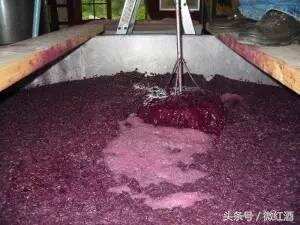 为什么葡萄酒这么脏？！酿酒葡萄都不洗的吗？