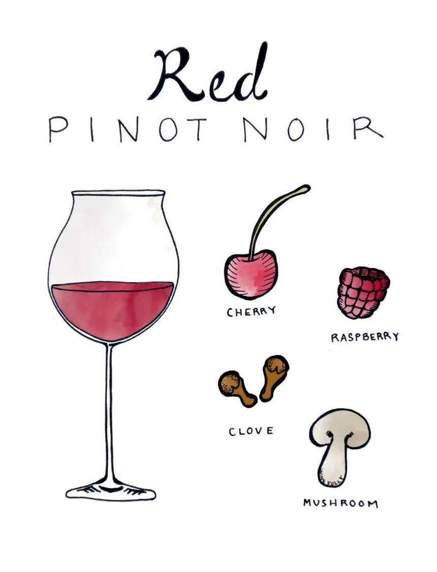 黑皮诺 | 一个红葡萄品种是如何酿造白葡萄酒、桃红以及起泡的？