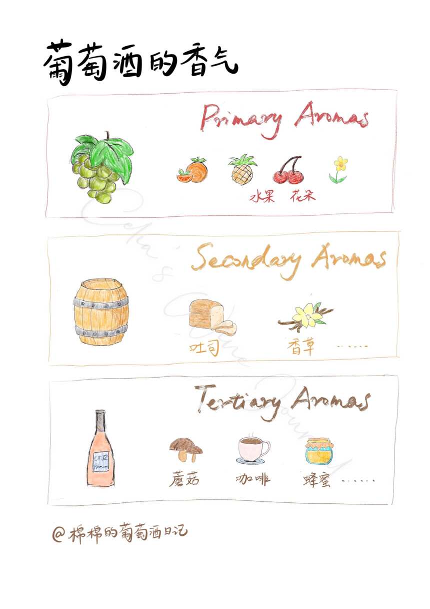 花香、水果香：关于葡萄酒的香气，你想了解的一切都在这篇文章里