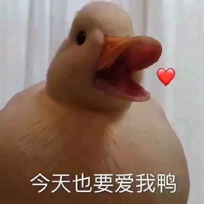 无鸭不过秋，中国到底哪里的鸭子最好吃？