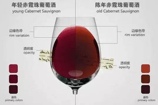 超实用：教你如何通过葡萄酒颜色判断年份