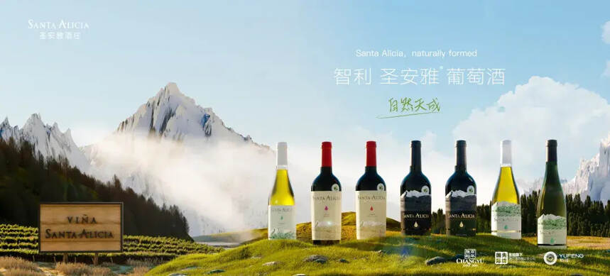 张裕旗下智利圣安雅酒庄新品发布，启动全国招商