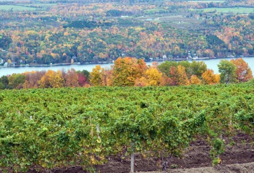 美国最值得去的葡萄酒产区排名前十