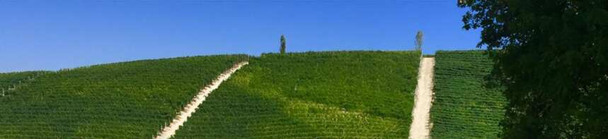 巴罗洛五大核心村庄及其优质葡萄园