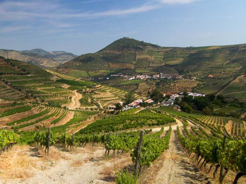 波尔图不光有足球，来了解下法国之外的欧洲葡萄酒产区：葡萄牙