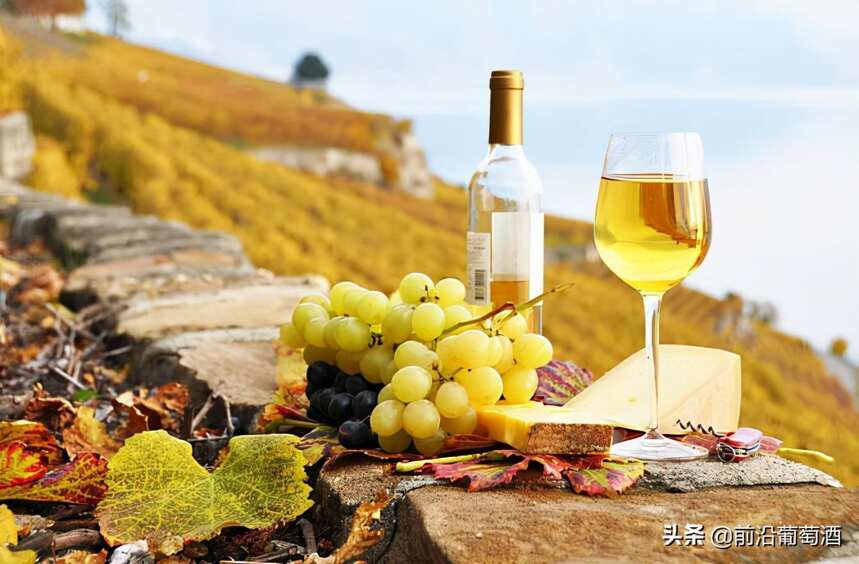 受人瞩目的霞多丽，最受欢迎的白葡萄酒，用霞多丽酿造的葡萄酒