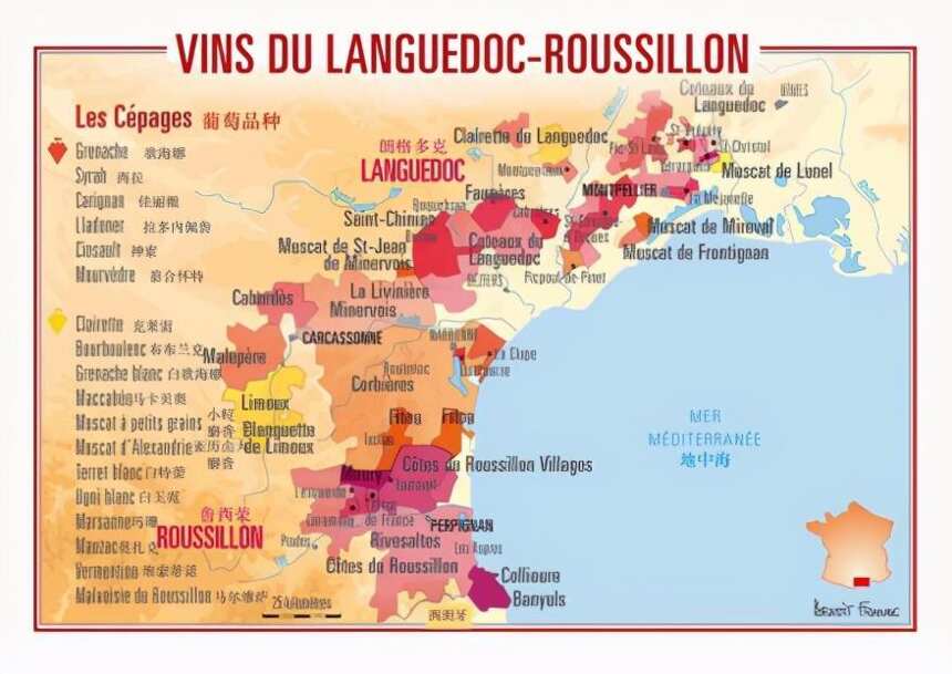 「权威分级」法国朗格多克都有哪些靠谱酒庄？