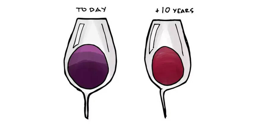 10个关于葡萄酒，你应该知道的那点事儿