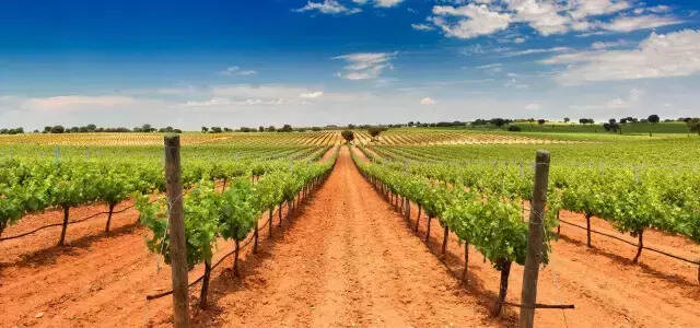 涨知识，西班牙10大葡萄酒产区，值得收藏