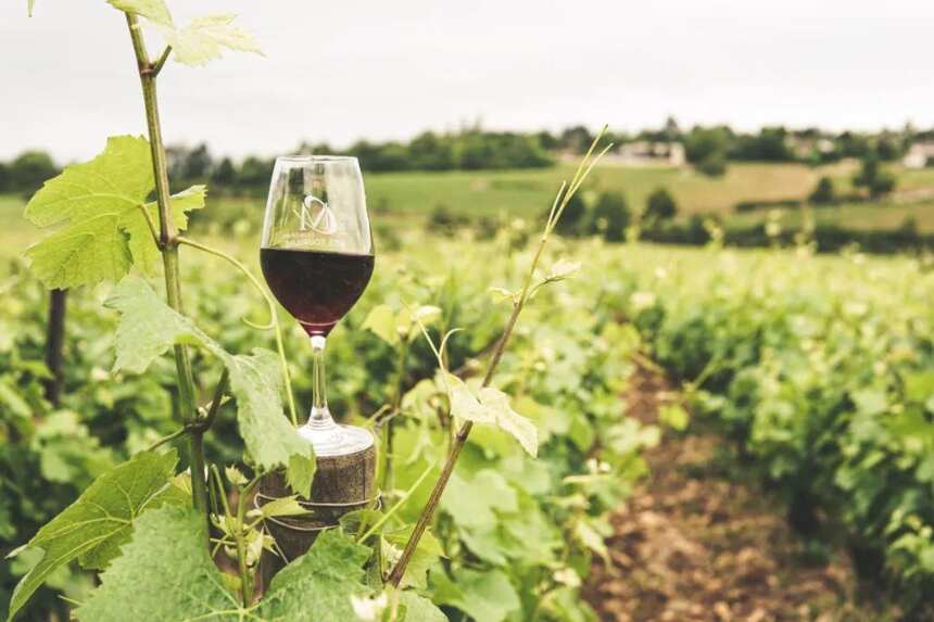 波尔多葡萄酒价格平均下降20-30%，海运费却同比上涨20%｜WBO独家