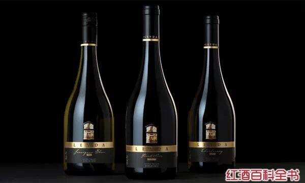 莱达酒庄：全球最受推崇的智利葡萄酒品牌