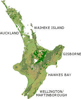 葡萄酒进阶知识：一次把新西兰的葡萄品种和产区说清楚