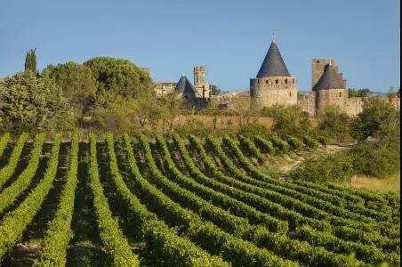 朱卫东：法国南部的葡萄酒，今天我们就来告诉你。