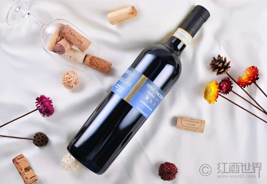 世界上最常见的6类经典优质红葡萄酒