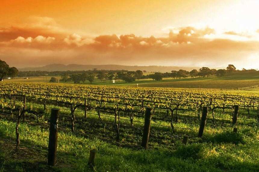 世界上最美的 18 大葡萄酒产区，一生至少要去一次