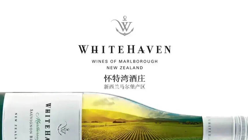 6家新西兰酒庄的“中国市场攻略”