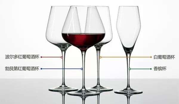 称自己是葡萄酒爱好者的人 这五只杯子不可缺一