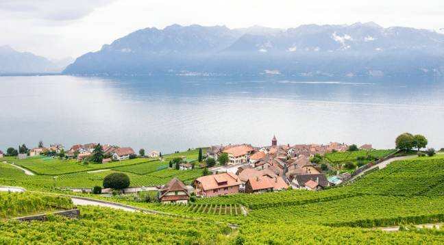 看《亲爱的翻译官》的后遗症，就是去瑞士喝最便宜最伟大的葡萄酒