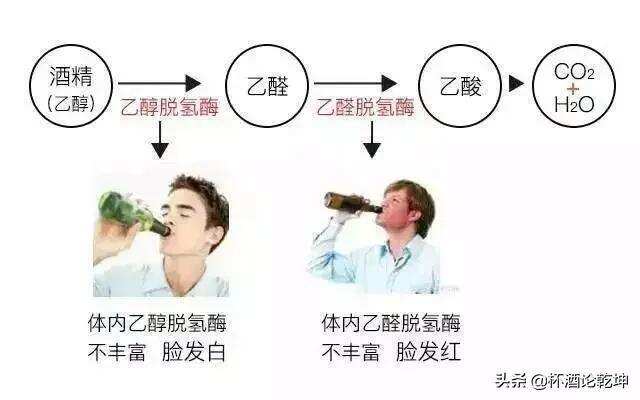 中国人酒量越来越大了么？