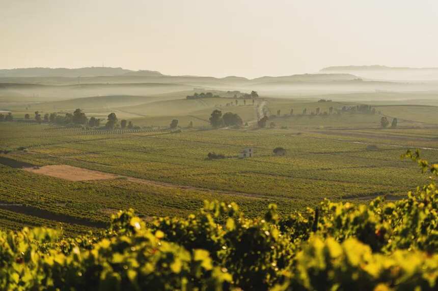 西西里不仅有美丽传说，还是不可忽视的葡萄酒天堂