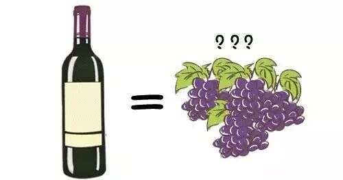 解惑丨一瓶葡萄酒究竟要耗费多少葡萄才能酿成？