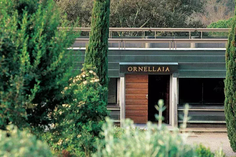 以酿酒师视角，看奥纳亚何以成为意大利顶级名庄？