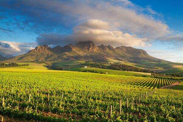 斯泰伦布什：号称南非“波尔多”的精品葡萄酒产区