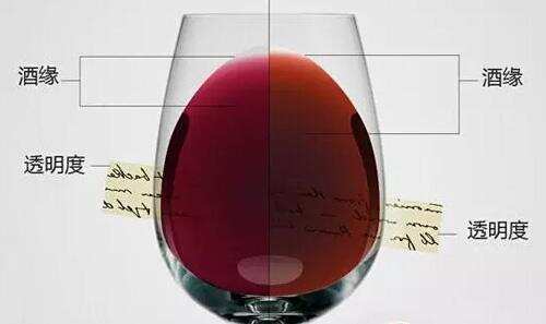 什么是葡萄酒的适饮期