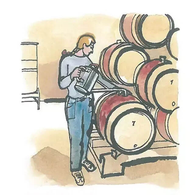 走进酿酒师和葡萄酒农的一年，一瓶好酒是怎样酿成的
