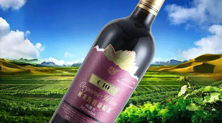 威龙C系列中秋季较去年同期增长，有机葡萄酒大单品战略初见成效