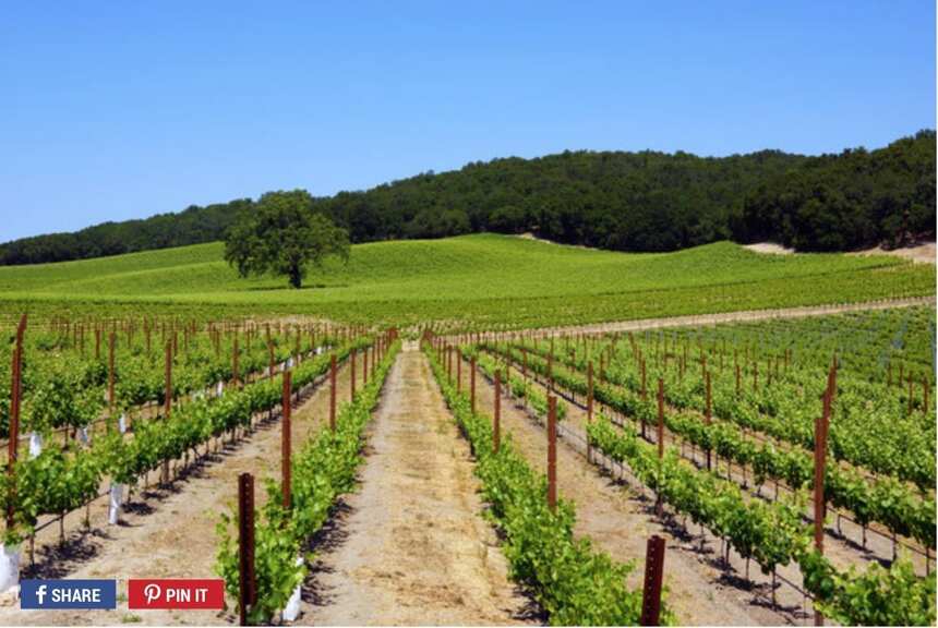 美国最值得去的葡萄酒产区排名前十