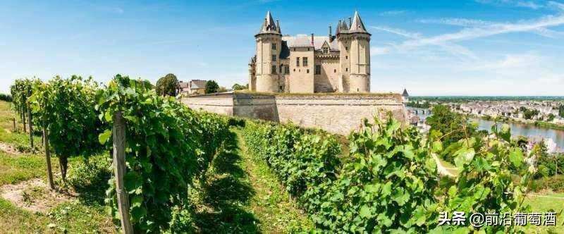 卢瓦尔河流域产区的葡萄品种，法国卢瓦尔河产区的葡萄品种