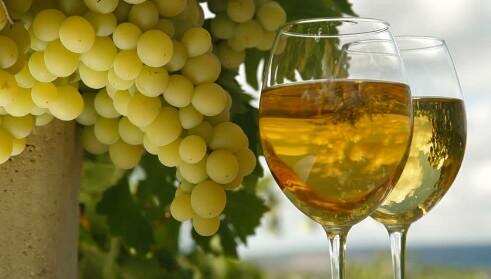 什么是“易饮”风格的葡萄酒