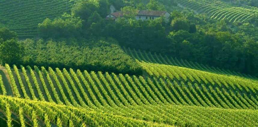 世界文化遗产葡萄酒产区，看看你都去过哪里？