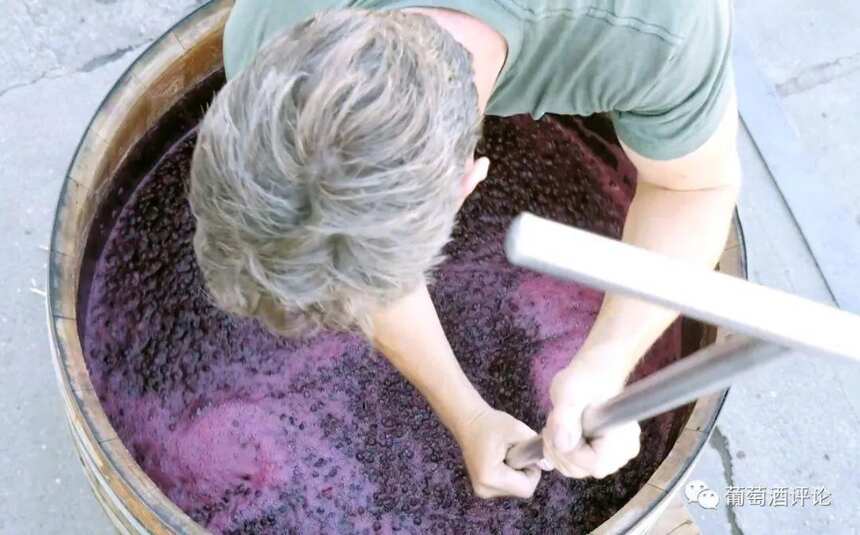 解惑丨你喝的葡萄酒都是怎么酿成的？