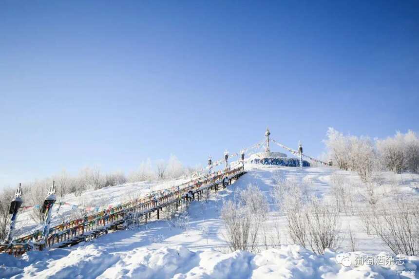 赶上内蒙古的大春天，还能看到最后一场雪