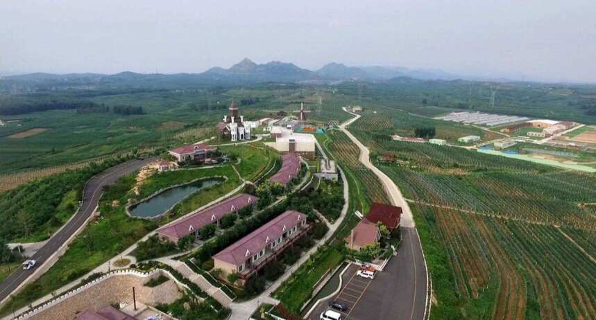 谁才是中国第一“葡萄酒城”，这五个城市有话说