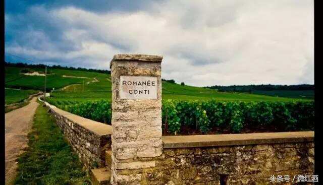 葡萄酒标上的Château、Domaine等，到底有什么不同