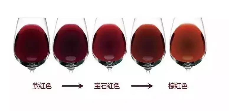 专业人士品红酒都会有这4个步骤