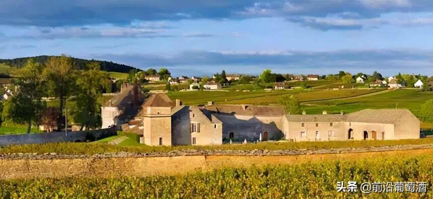 法国勃艮第马宏吉、马沙内和梅克雷产区的葡萄酒简介