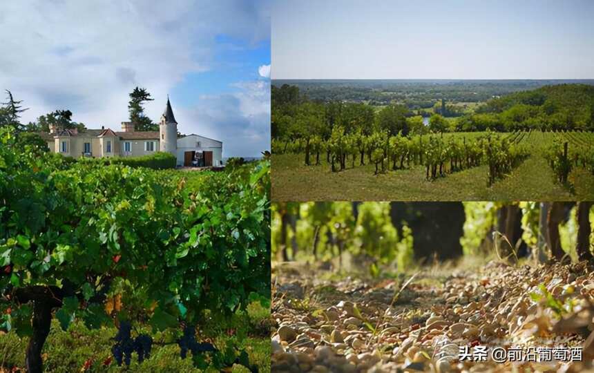 什么样的土壤适合种植葡萄呢？法国葡萄酒因独特的土壤举世闻名？