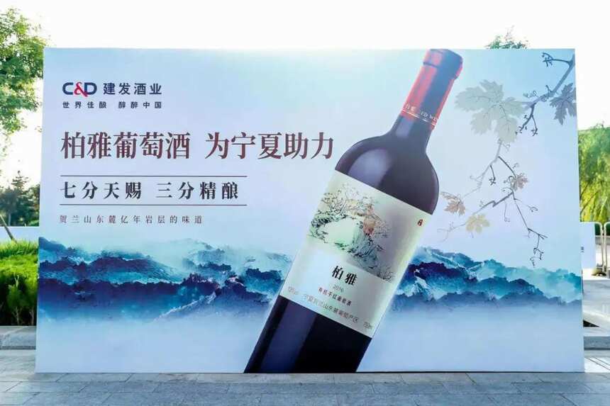 建发酒业运营首个国产葡萄酒品牌，柏雅为行业带来哪些启示？