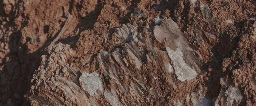 葡萄园常见土壤类型：板岩