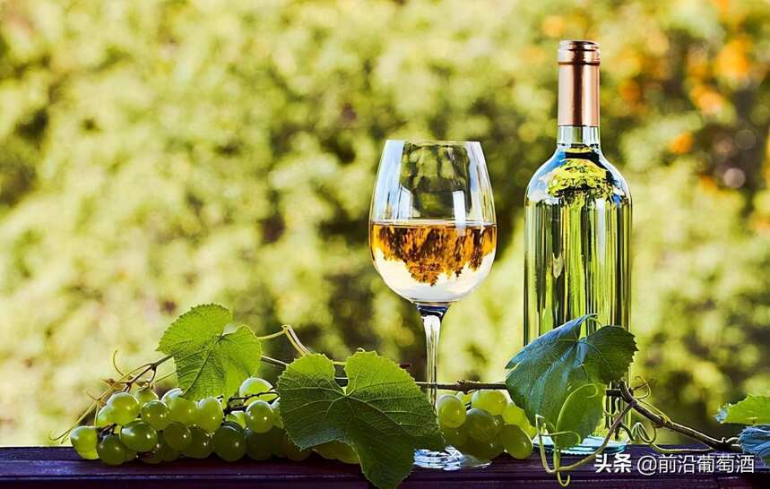 科通·查理曼产区的白葡萄酒，勃艮第白葡萄酒之至尊